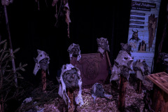 StubaierTuifl_Maskenausstellung25_039s_cr-augenmerk