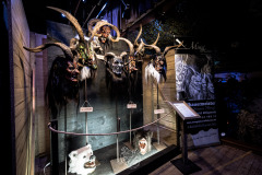 StubaierTuifl_Maskenausstellung25_081s_cr-augenmerk